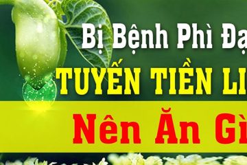 3 bài thuốc nam điều trị u xơ tiền liệt tuyến 3 bài thuốc nam điều trị u xơ tiền liệt tuyến
